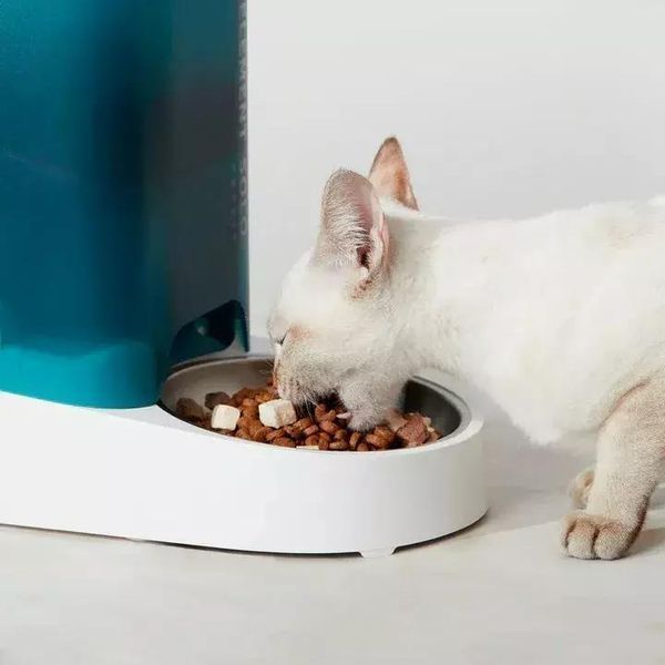 Смарт годівниця PETKIT Fresh Element SOLO (White) P570 P570 WHITE фото